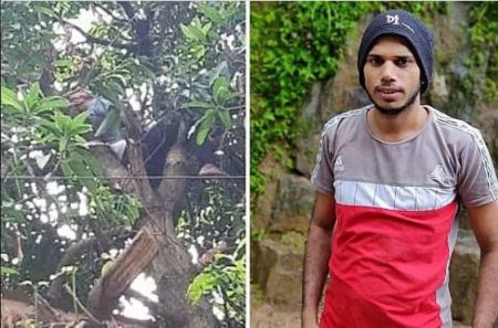 ಮಂಗಳೂರು: ಮಾವಿನಕಾಯಿ ಕೀಳಲು ಮರ ಹತ್ತಿದ್ದ ಯುವಕ ವಿದ್ಯುತ್ ಸ್ಪರ್ಶಗೊಂಡು ಸಾವು