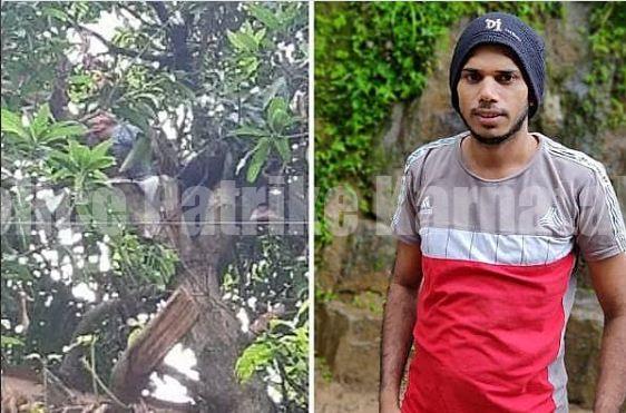 ಮಂಗಳೂರು: ಮಾವಿನಕಾಯಿ ಕೀಳಲು ಮರ ಹತ್ತಿದ್ದ ಯುವಕ ವಿದ್ಯುತ್ ಸ್ಪರ್ಶಗೊಂಡು ಸಾವು