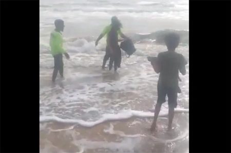 ಉಡುಪಿ : ಸಮುದ್ರಕ್ಕೆ ಹಾರಿ ಮಹಿಳೆ ಆತ್ಮಹತ್ಯೆಗೆ ಯತ್ನ