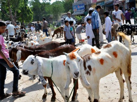 ಬಕ್ರೀದ್ ಹಬ್ಬ: ಮಾರ್ಗಸೂಚಿ ಬಿಡುಗಡೆ ಮಾಡಿದ ರಾಜ್ಯ ಸರ್ಕಾರ