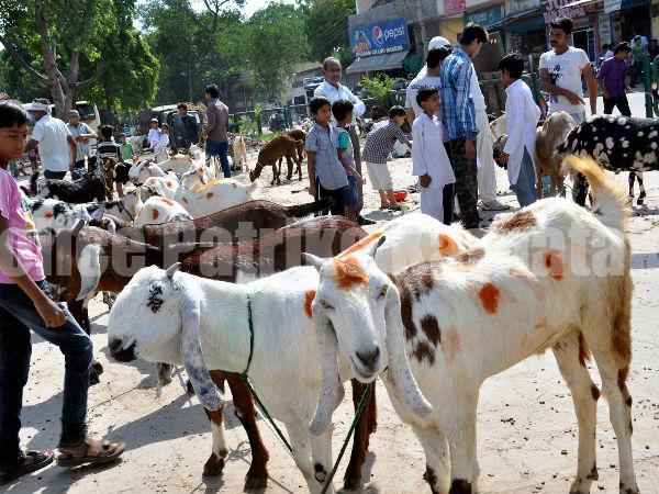 ಬಕ್ರೀದ್ ಹಬ್ಬ: ಮಾರ್ಗಸೂಚಿ ಬಿಡುಗಡೆ ಮಾಡಿದ ರಾಜ್ಯ ಸರ್ಕಾರ