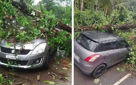 ಪುತ್ತೂರು: ಚಲಿಸುತ್ತಿದ್ದ ಕಾರಿನ ಉರುಳಿ ಬಿದ್ದ ಮರ: ಮಗು ಸಹಿತ ಐವರು ಅಪಾಯದಿಂದ ಪಾರು
