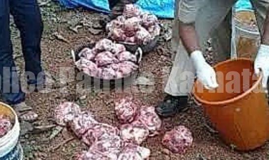 ಕಾರ್ಕಳ: ಸಾಣೂರಿನ ಮನೆಯಲ್ಲೇ ಅಕ್ರಮ ಕಸಾಯಿಖಾನೆ; ಮೂವರ ಬಂಧನ