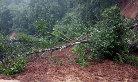 ಕಾಸರಗೋಡು: ಮಳೆಯ ಅಬ್ಬರಕ್ಕೆ ಹಲವೆಡೆ ಹಾನಿ