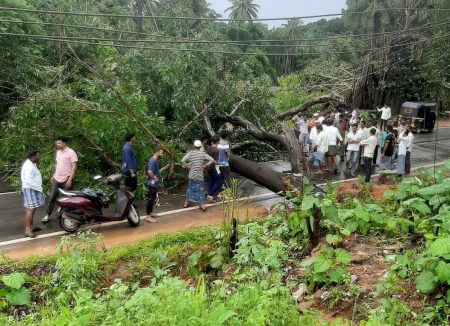 ಭಾರೀ ಗಾಳಿಗೆ ಪೆರ್ನೆ ಬಳಿ ಬೃಹತ್ ಗಾತ್ರದ ಎರಡು ಮರಗಳು ಧರೆಗೆ- ಸಂಚಾರದಲ್ಲಿ ಅಸ್ತವ್ಯಸ್ತ