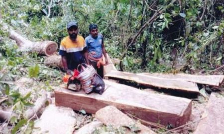 ಉಪ್ಪಿನಂಗಡಿ: ರಕ್ಚಿತಾರಣ್ಯದಿಂದ ಮರ ಕಡಿದು ಸಾಗಾಟಕ್ಕೆ ಸಿದ್ದತೆ – ಮೂವರ ಬಂಧನ