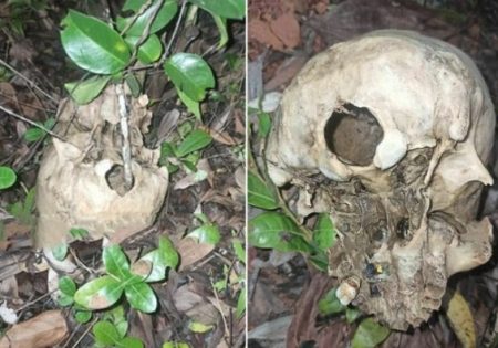 ವಿಟ್ಲ : ಗುಡ್ಡದಲ್ಲಿ ವ್ಯಕ್ತಿಯೊಬ್ಬರ ತಲೆಬುರುಡೆ, ಎಲುಬು ಪತ್ತೆ!