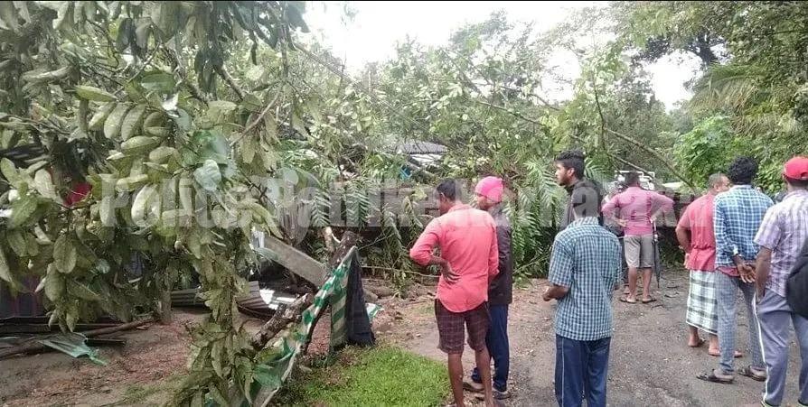 ಮೂಡಿಗೆರೆ : ಭಾರೀ ಮಳೆಗೆ ಮನೆ ಮೇಲೆ ಮರ ಬಿದ್ದು ತಾಯಿ-ಮಗಳು ಸಾವು