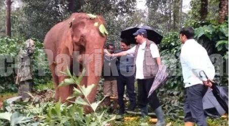 ಹನಿಟ್ರ್ಯಾಪ್ ಮಾಡಿಸಿದ್ರೂ ಒಂದು ರಾತ್ರಿ ಎಂಜಾಯ್ ಮಾಡಿ ಎಸ್ಕೇಪ್ ಆದ ಟಸ್ಕರ್