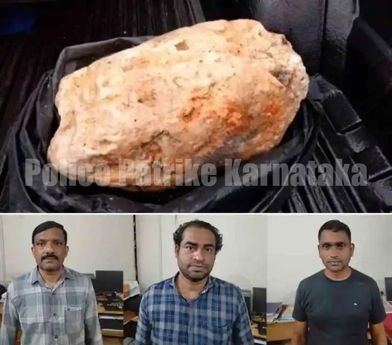 10 ಕೋಟಿ ಮೌಲ್ಯದ ತಿಮಿಂಗಿಲದ ವಾಂತಿ ವಶ-ಮೂವರ ಬಂಧನ