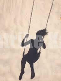 ವಿಟ್ಲ: ಜೋಕಾಲಿಯ ಹಗ್ಗ ಕುತ್ತಿಗೆಗೆ ಸಿಲುಕಿ ಬಾಲಕಿ ಸಾವು