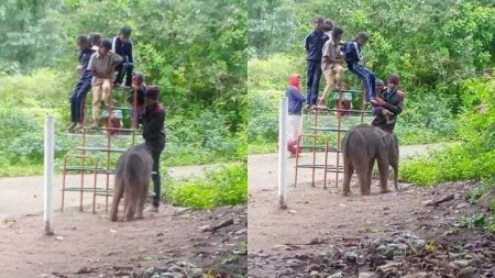 ಶಾಲೆಗೆ ಬಂದು ಮಕ್ಕಳೊಂದಿಗೆ ಆಟವಾಡಿದ ಮರಿಯಾನೆ