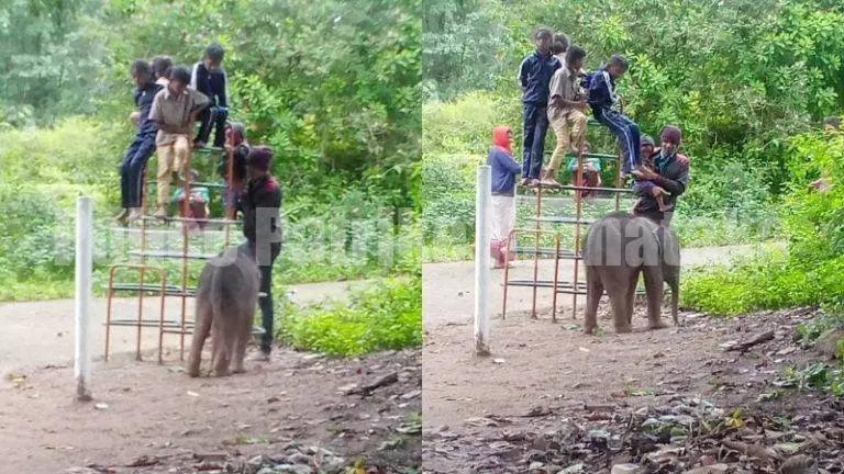 ಶಾಲೆಗೆ ಬಂದು ಮಕ್ಕಳೊಂದಿಗೆ ಆಟವಾಡಿದ ಮರಿಯಾನೆ