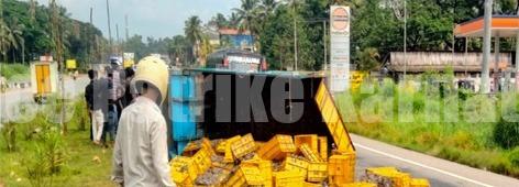 ಉಡುಪಿ: ಚಾಲಕನ ನಿಯಂತ್ರಣ ತಪ್ಪಿ ಪಲ್ಟಿಯಾದ ಮೀನಿನ ಟೆಂಪೋ