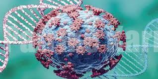 ಭಾರತದಲ್ಲಿ ಹೊಸ ಓಮಿಕ್ರಾನ್ ರೂಪಾಂತರ BF.7ನ ಮೊದಲ ಕೇಸ್ ಪತ್ತೆ.!