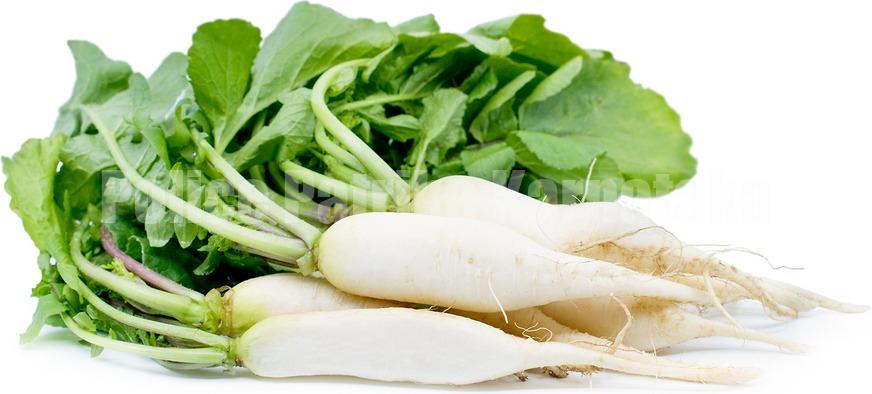 ಈ 10 ಸಮಸ್ಯೆಗಳಿರುವವರು ಮೂಲಂಗಿಯನ್ನು ಮರೆತೂ ಕೂಡ ಸೇವಿಸಬಾರದು