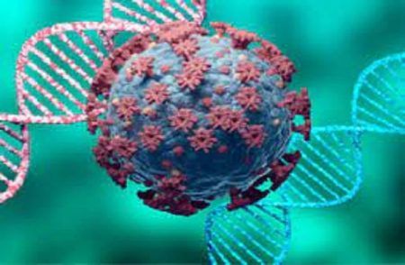 BREAKIN NEWS : ಭಾರತದಲ್ಲಿ ಒಮಿಕ್ರಾನ್ ರೂಪಾಂತರ BF.7ನ ಮೂರು ಪ್ರಕರಣಗಳು ಪತ್ತೆ