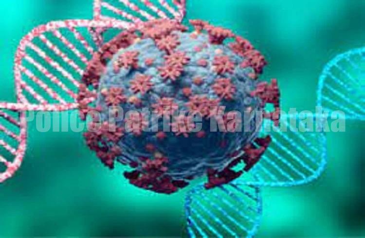 BREAKIN NEWS : ಭಾರತದಲ್ಲಿ ಒಮಿಕ್ರಾನ್ ರೂಪಾಂತರ BF.7ನ ಮೂರು ಪ್ರಕರಣಗಳು ಪತ್ತೆ