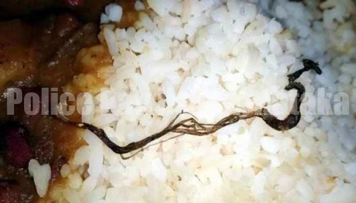 ಮಧ್ಯಾಹ್ನದ ಬಿಸಿಊಟದಲ್ಲಿ ಹಾವು: ವಿದ್ಯಾರ್ಥಿಗಳು ಅಸ್ವಸ್ಥ