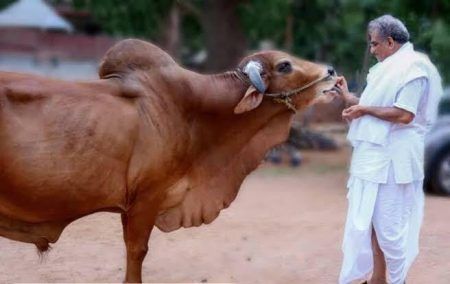 ಧರ್ಮಸ್ಥಳ: ಭಕ್ತಾದಿಗಳ ಪ್ರೀತಿಯ ‘ಗಿರೀಶ’ ಇನ್ನಿಲ್ಲ- ಕಣ್ಣೀರು ಮಿಡಿದ ಖಾವಂದರು