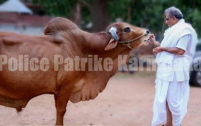 ಧರ್ಮಸ್ಥಳ: ಭಕ್ತಾದಿಗಳ ಪ್ರೀತಿಯ ‘ಗಿರೀಶ’ ಇನ್ನಿಲ್ಲ- ಕಣ್ಣೀರು ಮಿಡಿದ ಖಾವಂದರು