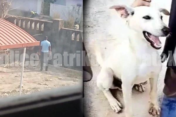 ಉಡುಪಿ: ಹುಡುಗಿಯ ಜೊತೆ ಆಟವಾಡಿದ್ದಕ್ಕೆ ನಾಯಿಯನ್ನೇ ಕೊಂದ ಕಾಲೇಜು ವಾರ್ಡನ್!