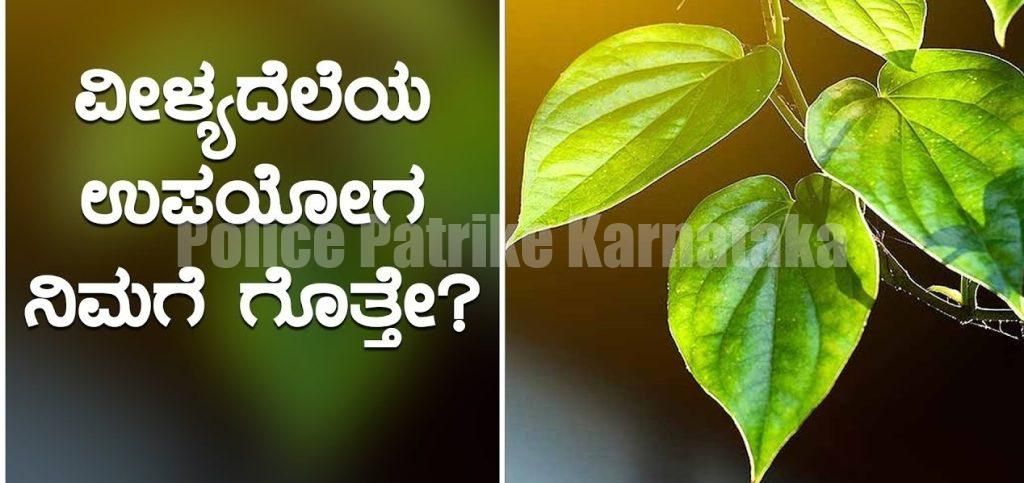 ʼವೀಳ್ಯದೆಲೆʼ ಕೆಮ್ಮು, ಶೀತ ಸಮಸ್ಯೆಗೆ ಉತ್ತಮ ಔಷಧಿ