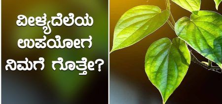 ʼವೀಳ್ಯದೆಲೆʼ ಕೆಮ್ಮು, ಶೀತ ಸಮಸ್ಯೆಗೆ ಉತ್ತಮ ಔಷಧಿ