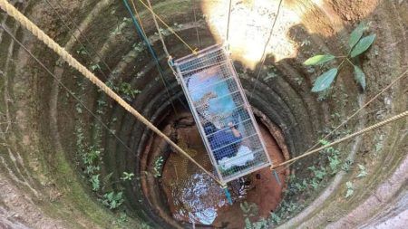 ಕಟೀಲು: ಚಿರತೆ ಸೆರೆ ಹಿಡಿಯಲು ಸ್ವತಃ ಬಾವಿಗೆ ಇಳಿದ ಪಶು ವೈದ್ಯೆ ಡಾ. ಮೇಘನಾ