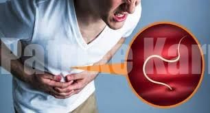 ಜಂತು ಹುಳಗಳ ನಿವಾರಣೆಗೆ ಪರಿಣಾಮಕಾರಿ ಮನೆಮದ್ದು