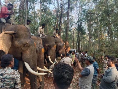 ಕಡಬ: ಇಬ್ಬರನ್ನು ಬಲಿ ಪಡೆದ ಕಾಡಾನೆಯನ್ನು ಸೆರೆಹಿಡಿದ ಅಭಿಮನ್ಯು ಪಡೆ