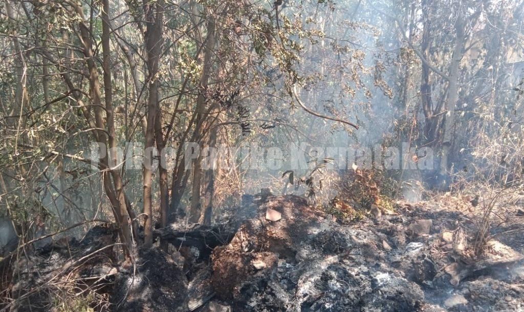 ಮಂಗಳೂರು: ಪೊಂಪೈ ಹಿರಿಯ ಪ್ರಾಥಮಿಕ ಶಾಲೆಯ ಹಿಂಭಾಗ ಇಳಿಜಾರು ಪ್ರದೇಶಕ್ಕೆ ಆಕಸ್ಮಿಕ ಬೆಂಕಿ