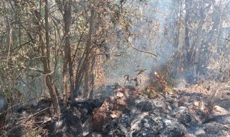 ಮಂಗಳೂರು: ಪೊಂಪೈ ಹಿರಿಯ ಪ್ರಾಥಮಿಕ ಶಾಲೆಯ ಹಿಂಭಾಗ ಇಳಿಜಾರು ಪ್ರದೇಶಕ್ಕೆ ಆಕಸ್ಮಿಕ ಬೆಂಕಿ