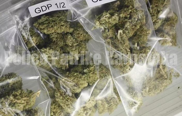 ಮಂಗಳೂರು: ಎರಡು ಪ್ರತ್ಯೇಕ ಪ್ರಕರಣ – ಗಾಂಜಾ ನಶೆಯಲ್ಲಿದ್ದ ಇಬ್ಬರು ಅರೆಸ್ಟ್