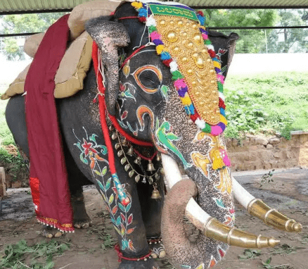 ಮೈಸೂರು ದಸರಾದಲ್ಲಿ 14 ಬಾರಿ ಅಂಬಾರಿ ಹೊತ್ತಿದ್ದ ಆನೆ ಬಲರಾಮ ಇನ್ನಿಲ್ಲ