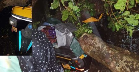 ಕಾಪು: ಭಾರೀ ಗಾಳಿ ಮಳೆಗೆ ಚಲಿಸುತ್ತಿದ್ದ ರಿಕ್ಷಾ ಮೇಲೆ ಬಿದ್ದ ಮರ, ಇಬ್ಬರು ಪ್ರಯಾಣಿಕರು ಮೃತ್ಯು