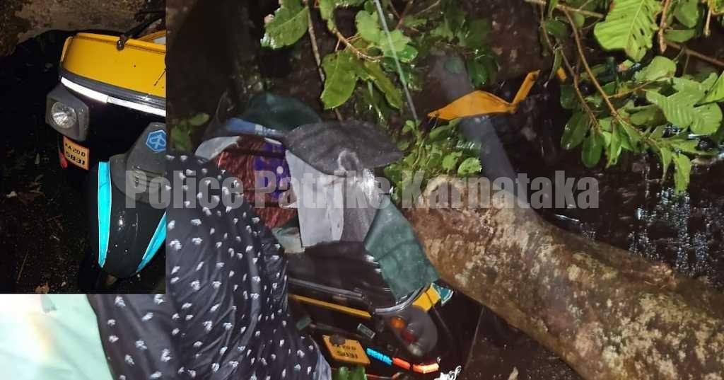 ಕಾಪು: ಭಾರೀ ಗಾಳಿ ಮಳೆಗೆ ಚಲಿಸುತ್ತಿದ್ದ ರಿಕ್ಷಾ ಮೇಲೆ ಬಿದ್ದ ಮರ, ಇಬ್ಬರು ಪ್ರಯಾಣಿಕರು ಮೃತ್ಯು