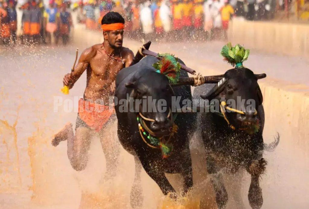 ಕಂಬಳ, ಜಲ್ಲಿಕಟ್ಟು ಕುರಿತು ಮಹತ್ವದ ತೀರ್ಪು ನೀಡಿದ ಸುಪ್ರೀಂ ಕೋರ್ಟ್..!!
