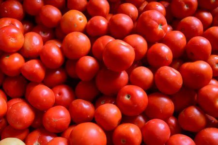 ಟೊಮೇಟೋ ಬೆಲೆ ಕೆ.ಜಿಗೆ 300ರವರೆಗೆ ಏರಿಕೆ ಸಾಧ್ಯತೆ