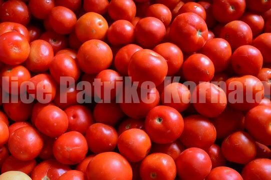 ಟೊಮೇಟೋ ಬೆಲೆ ಕೆ.ಜಿಗೆ 300ರವರೆಗೆ ಏರಿಕೆ ಸಾಧ್ಯತೆ