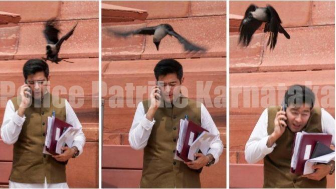 ಸಂಸತ್ ಆವರಣದಲ್ಲಿ ಎಎಪಿ ಸಂಸದ ‘ರಾಘವ್ ಚಡ್ಡಾ’ ಮೇಲೆ ಕಾಗೆ ದಾಳಿ