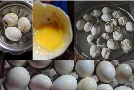 ಮಂಗಳೂರು: ಅಂಗನವಾಡಿಗೆ ಮತ್ತೆ ಕೊಳೆತ ಮೊಟ್ಟೆ ಪೂರೈಕೆ – ಗರ್ಭಿಣಿ ಮಹಿಳೆ, ಮಗು ಅಸ್ವಸ್ಥ