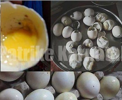 ಮಂಗಳೂರು: ಅಂಗನವಾಡಿಗೆ ಮತ್ತೆ ಕೊಳೆತ ಮೊಟ್ಟೆ ಪೂರೈಕೆ – ಗರ್ಭಿಣಿ ಮಹಿಳೆ, ಮಗು ಅಸ್ವಸ್ಥ