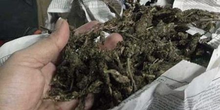 ಮಂಗಳೂರು : ರೈಲಿನಲ್ಲಿ ಪತ್ತೆಯಾದ 3.16 ಲಕ್ಷ ಮೌಲ್ಯದ ಗಾಂಜಾ ಬ್ಯಾಗ್