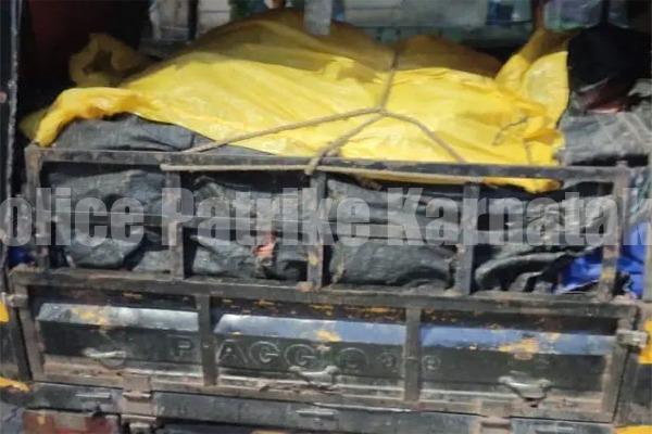 ಮಂಗಳೂರು: ಗೋ ಮಾಂಸ ಅಕ್ರಮ ಸಾಗಾಟ – ಮೂವರು ಪೊಲೀಸರ ವಶಕ್ಕೆ