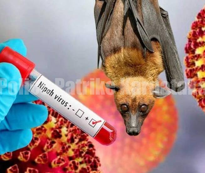 ಕೇರಳದಲ್ಲಿ ಎರಡು ಅಸ್ವಾಭಾವಿಕ ಸಾವು, ನಿಫಾ ವೈರಸ್ ಭೀತಿ- ಆರೋಗ್ಯ ಇಲಾಖೆಯಿಂದ ಎಚ್ಚರಿಕೆ..!