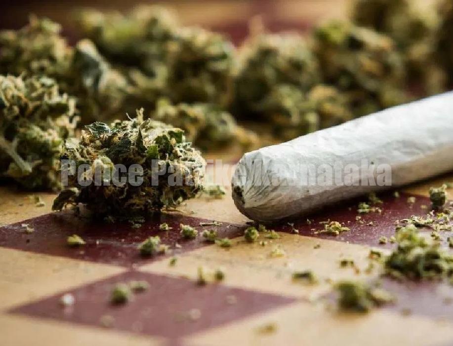 ಉಡುಪಿ: ಅಕ್ರಮ ಗೋವಾ ಮದ್ಯ, ಗಾಂಜಾ ಮಾರಾಟಕ್ಕೆ ಯತ್ನಿಸಿದಾತನ ಬಂಧನ