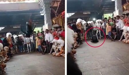 ಮಂಗಳಾದೇವಿ ದೇವಸ್ಥಾನದ ವಠಾರದಲ್ಲಿ ಹುಲಿ ಕುಣಿತದ ವೇಳೆ ಆಯತಪ್ಪಿ ಬಿದ್ದ ಹುಲಿ ವೇಷಧಾರಿ..!