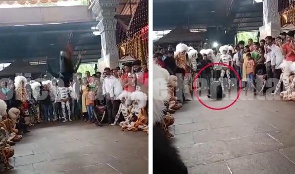 ಮಂಗಳಾದೇವಿ ದೇವಸ್ಥಾನದ ವಠಾರದಲ್ಲಿ ಹುಲಿ ಕುಣಿತದ ವೇಳೆ ಆಯತಪ್ಪಿ ಬಿದ್ದ ಹುಲಿ ವೇಷಧಾರಿ..!