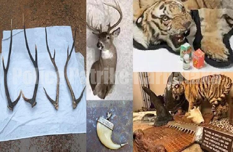 ‘ಸಾರ್ವಜನಿಕ’ರೇ ಎಚ್ಚರ.! ಈ ‘ವನ್ಯಜೀವಿ ವಸ್ತು’ಗಳನ್ನು ಬಳಕೆ ಮಾಡಿದ್ರೇ ‘ಜೈಲು ಶಿಕ್ಷೆ’ ಫಿಕ್ಸ್.!